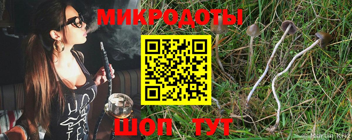 Галлюциногенные грибы мухоморы  Вход с VPN  Камышин 